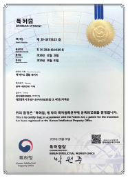 EUREKA IEUM 아이스코어 특허증 5